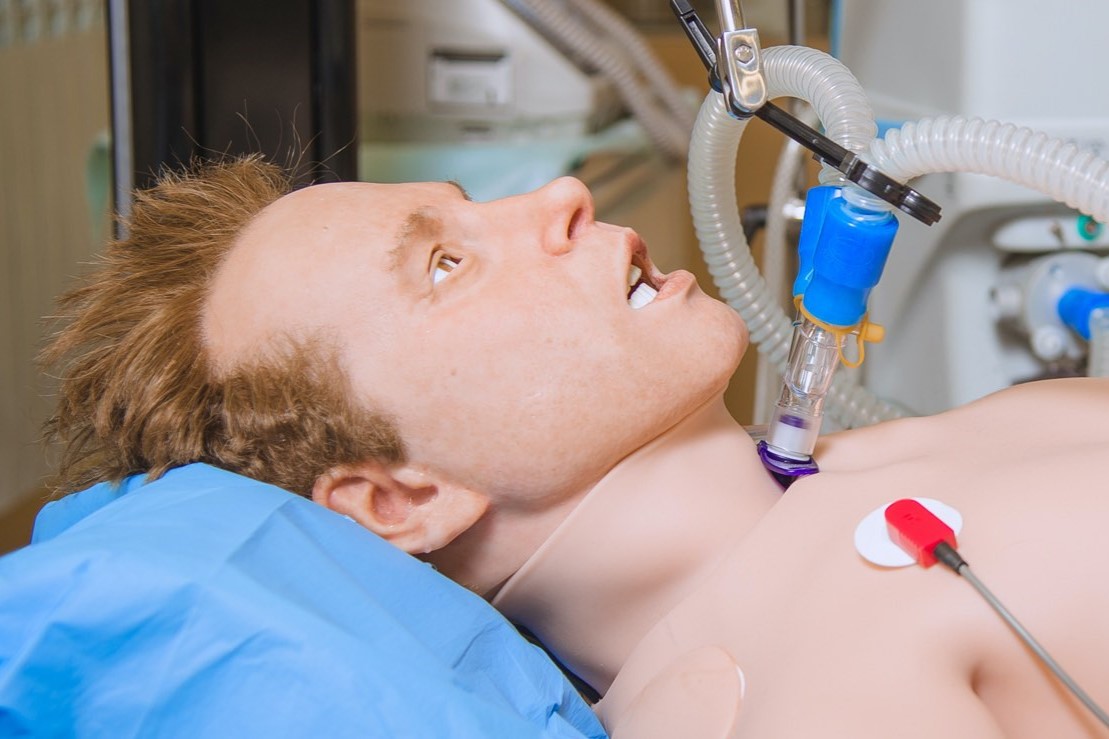 Adult patient simulator package
